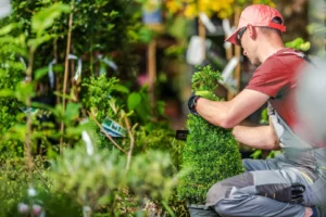 Aménagement et entretien des espaces verts Aménagement et entretien des espaces verts