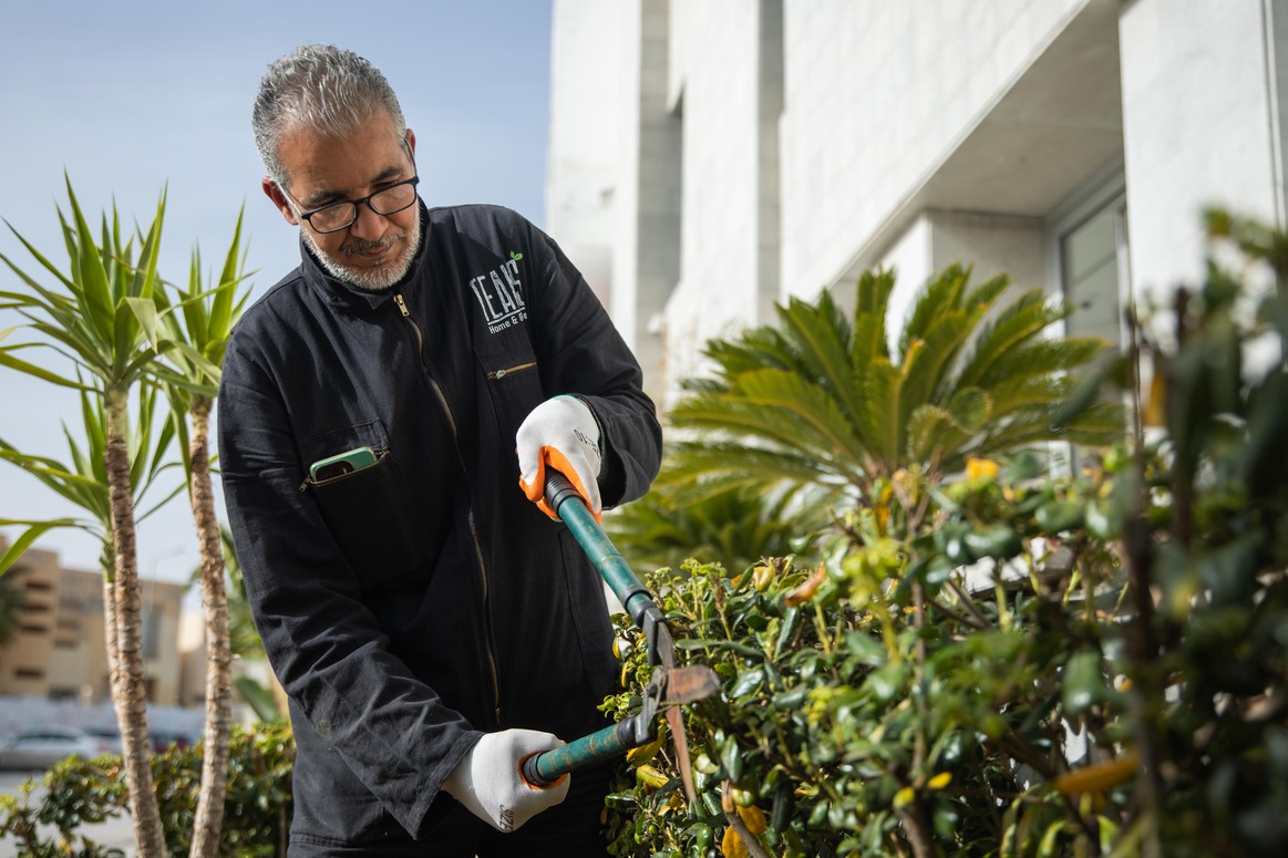 Jardiniers Créatifs à tunis