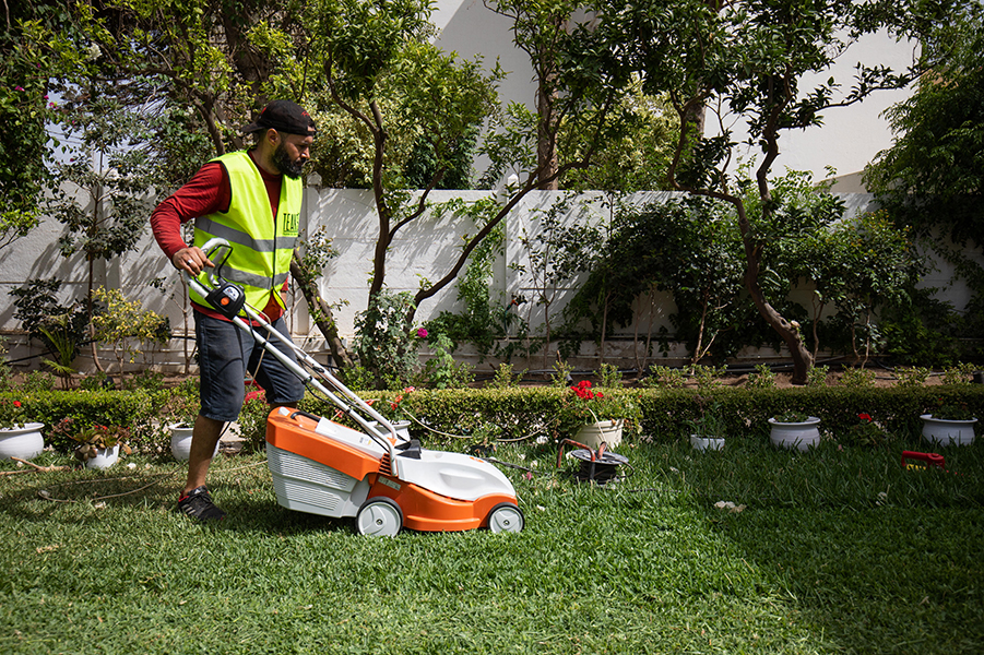 Nettoyage du jardin