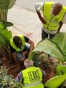 c'est une image de 3 jardiniers de teaks en phase d'aménagement d'une façade de villa