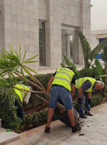 Service jardinage Tunisie