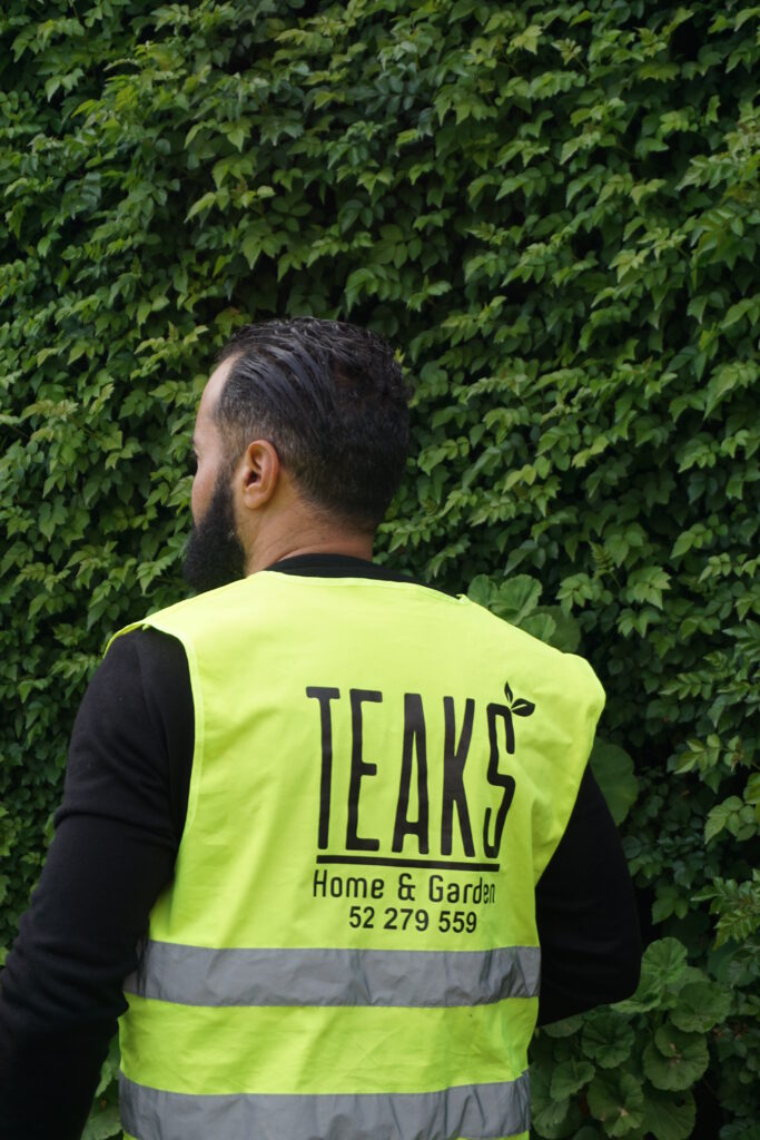conception jardin Tunis