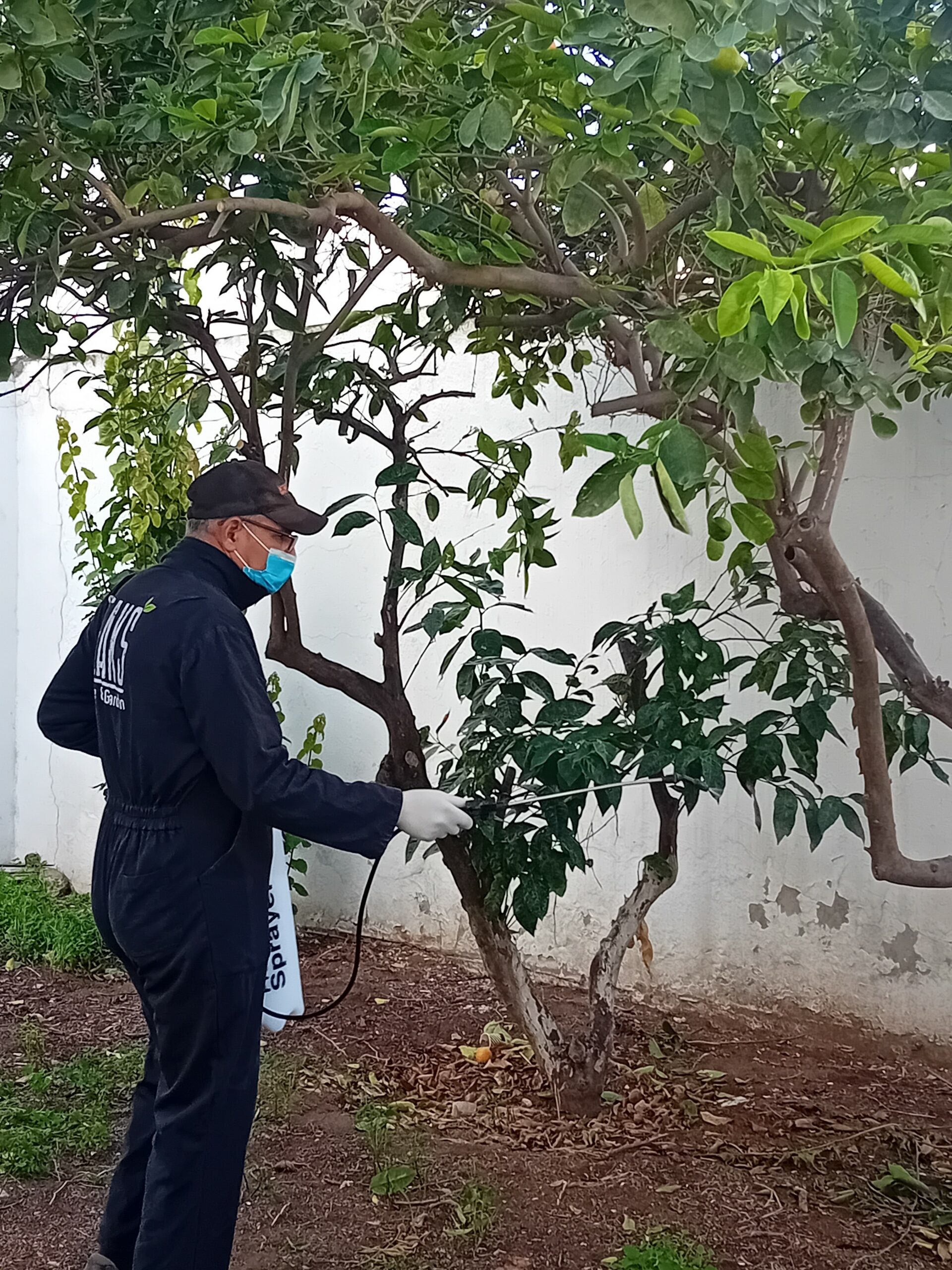 traitement-phytosanitaire-tunisie